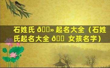 石姓氏 🌻 起名大全（石姓氏起名大全 🐠 女孩名字）